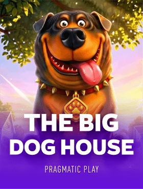 The Big Dog House
